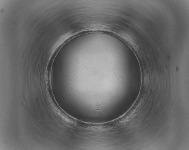 X0000065970990200603101353