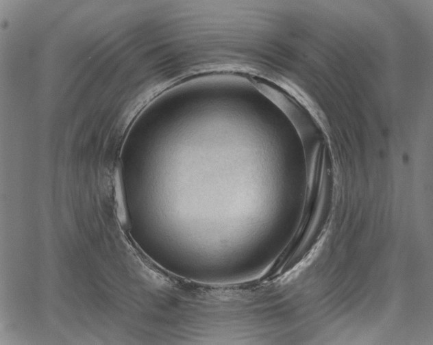 X0000065970993200603101353