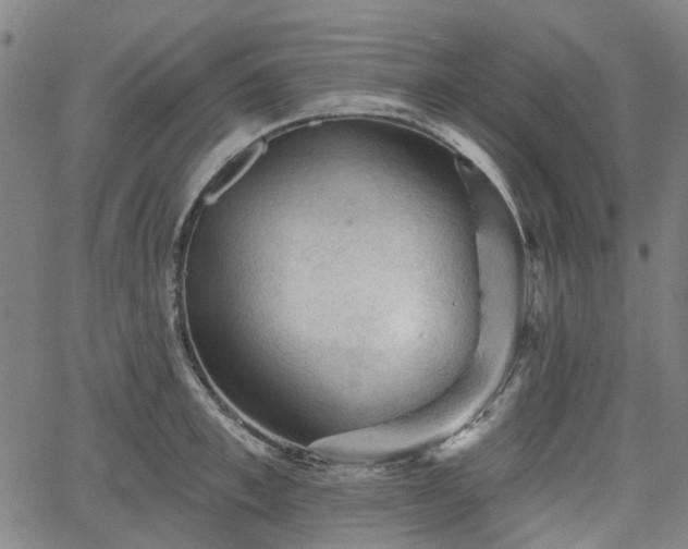 X0000065970997200603101353