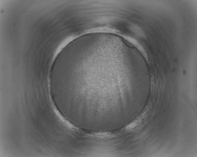 X0000065970998200603101353