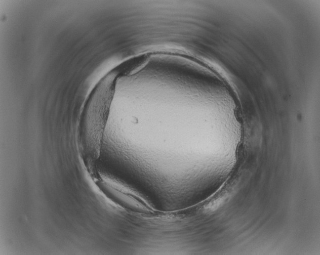 X0000065970999200603101352