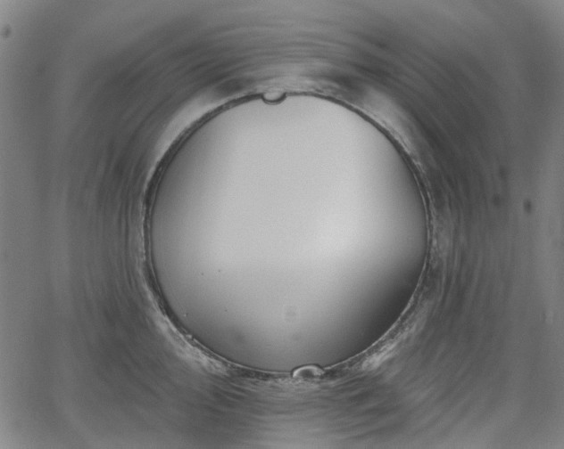 X0000065971000200603101352