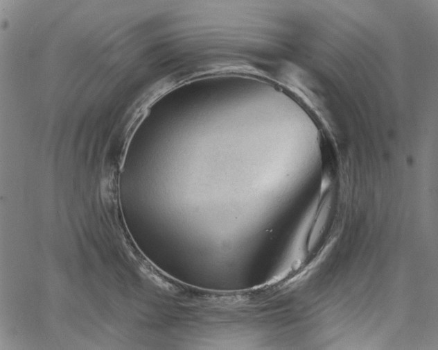 X0000065971001200603101352