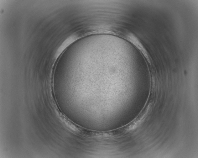 X0000065971002200603101352