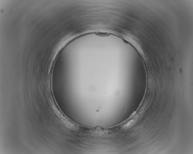 X0000065971004200603101352