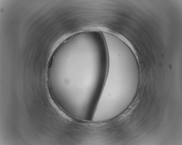 X0000065971005200603101352