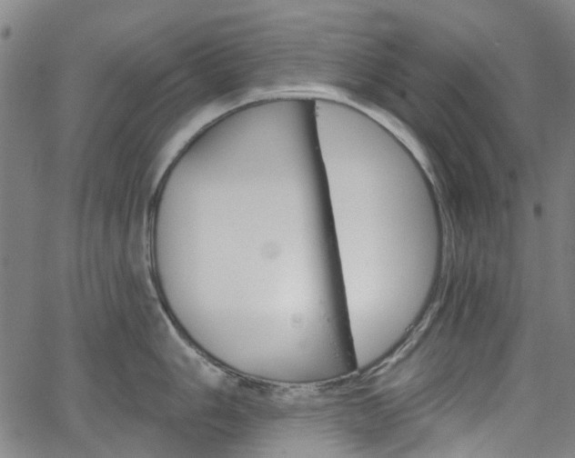 X0000065971006200603101352