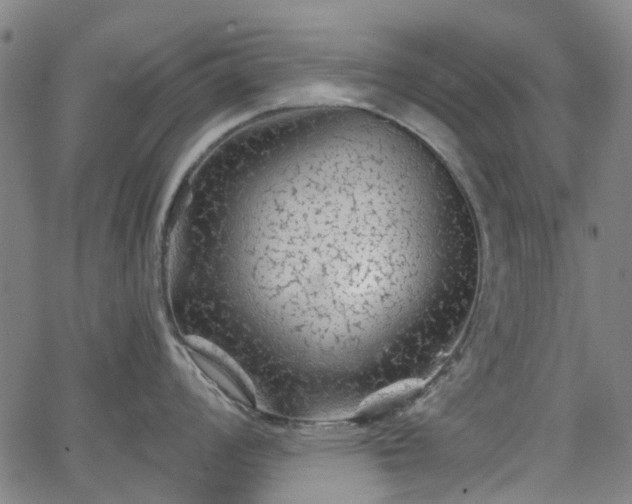 X0000065971008200603101352