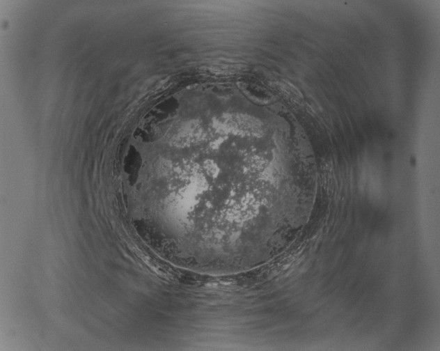 X0000065971009200603101352