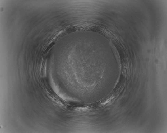 X0000065971010200603101352