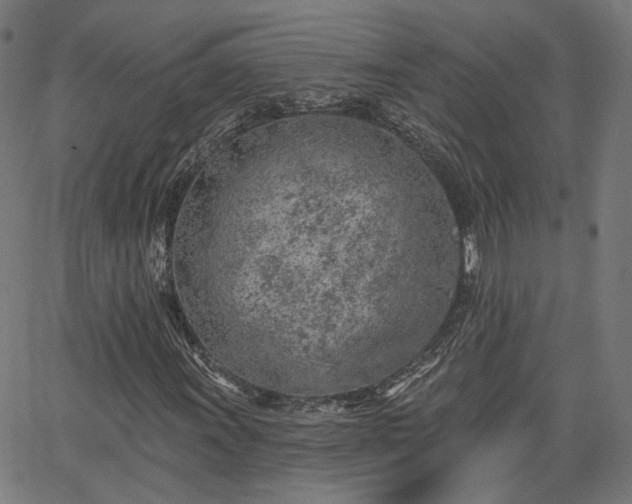 X0000065971011200603101352