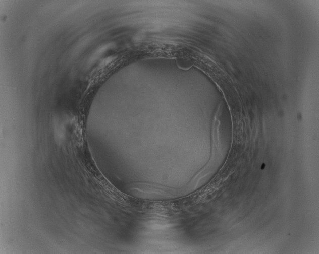 X0000065971013200603101352