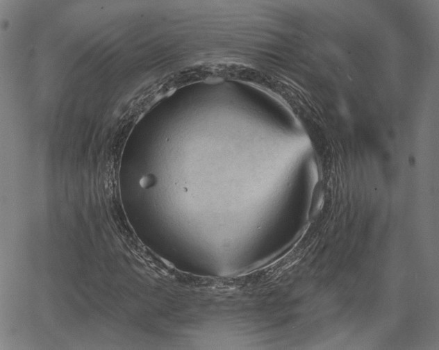 X0000065971014200603101352