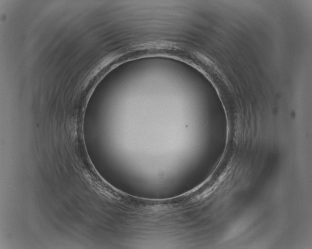 X0000065971017200603101352