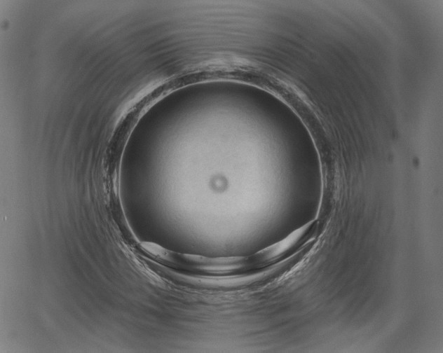 X0000065971018200603101352