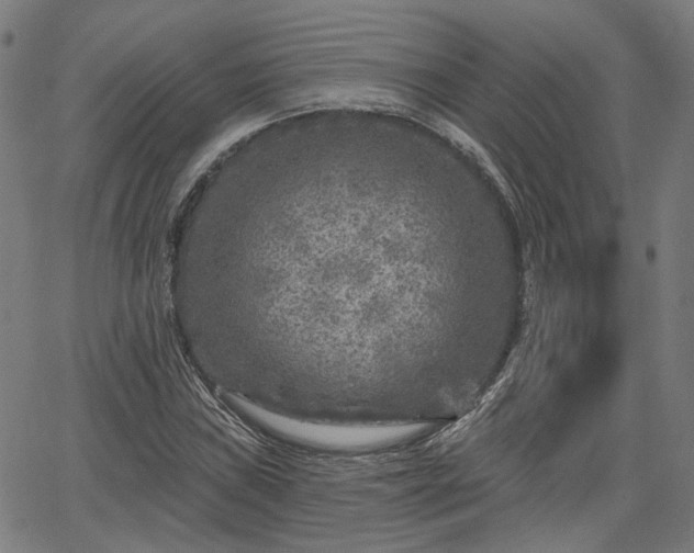 X0000065971019200603101352