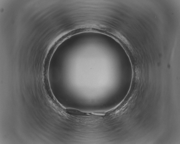 X0000065971020200603101352