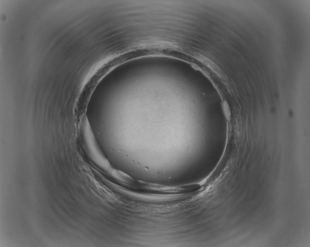 X0000065971022200603101352