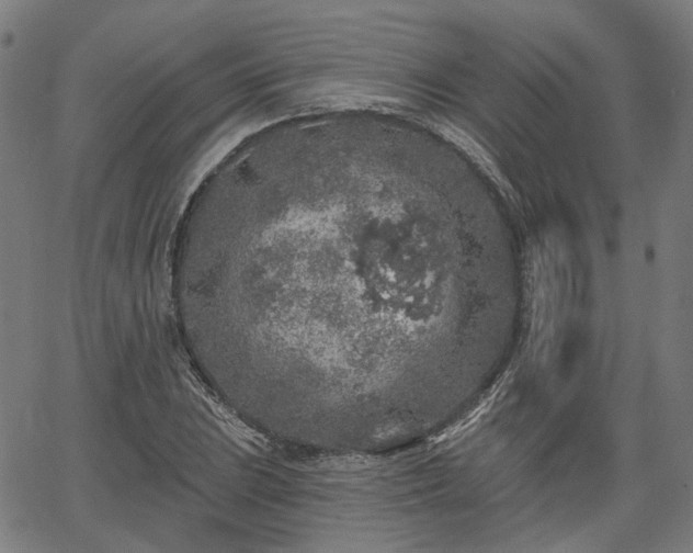 X0000065971023200603101352