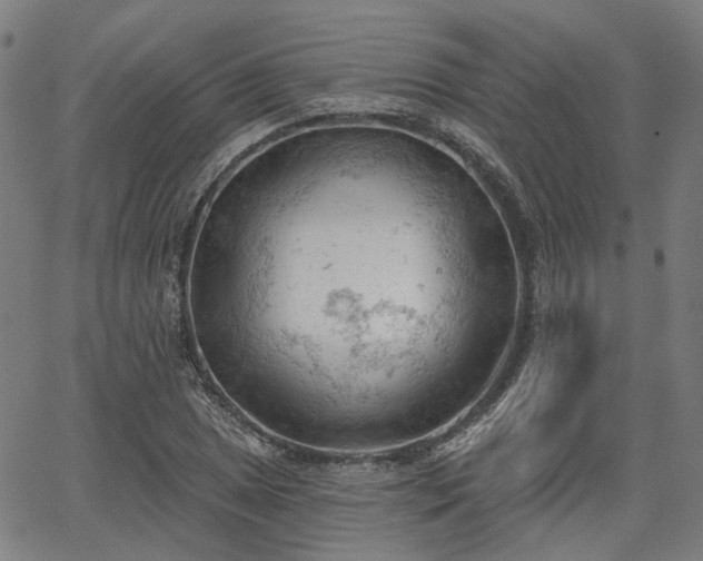 X0000065971025200603101352