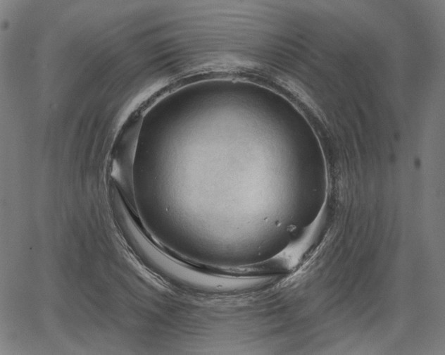 X0000065971026200603101352