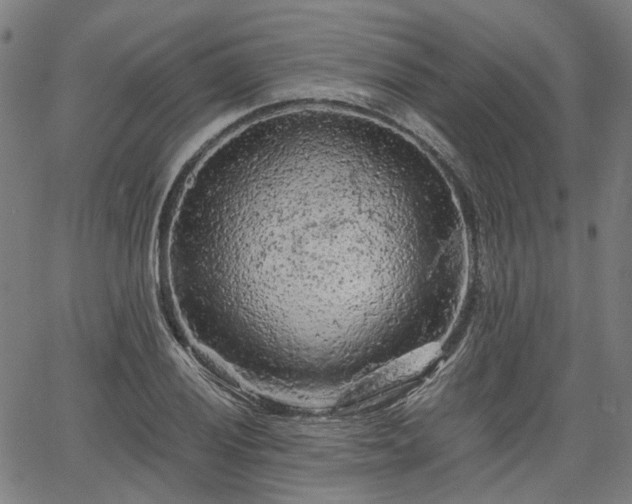 X0000065971028200603101352