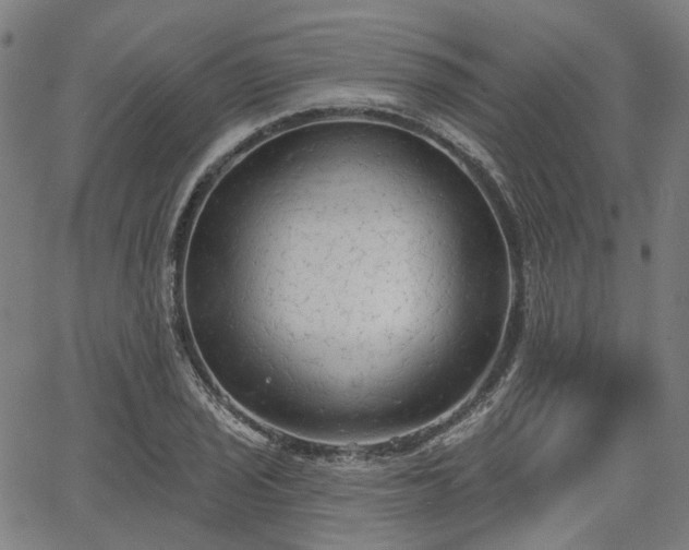 X0000065971029200603101352