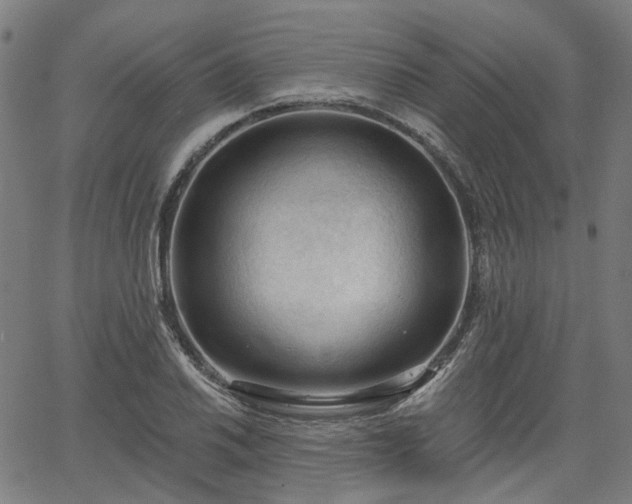 X0000065971030200603101352