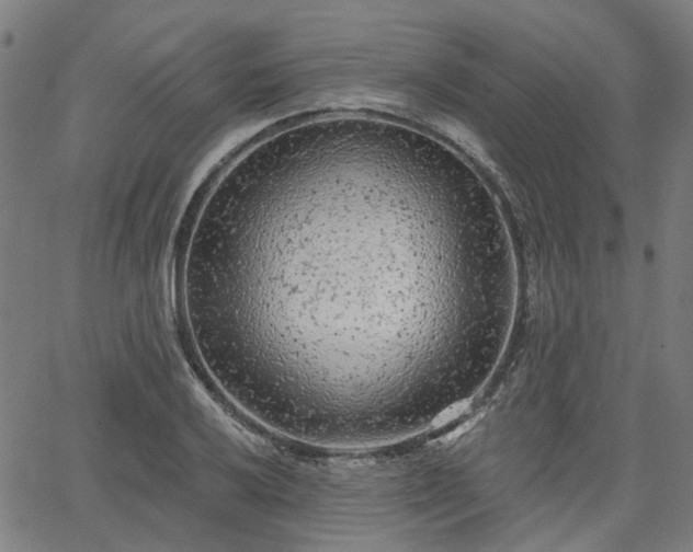 X0000065971032200603101352