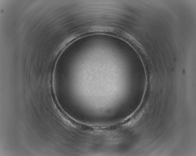 X0000065971033200603101352