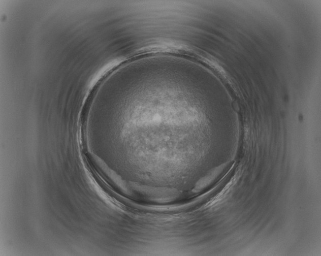 X0000065971034200603101352