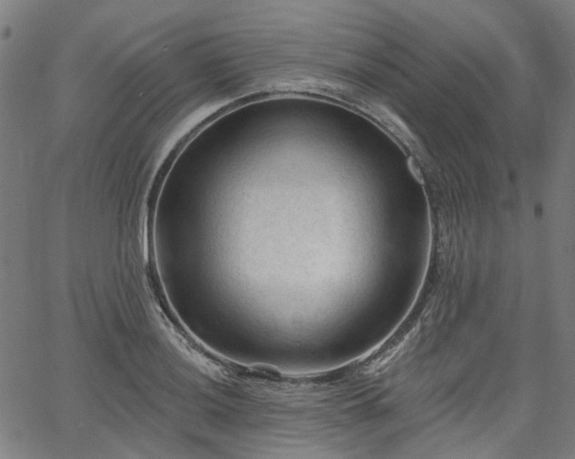 X0000065971036200603101352