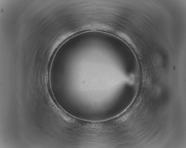 X0000065971040200603101352