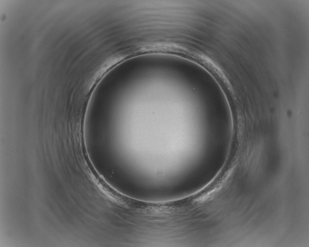 X0000065971041200603101352