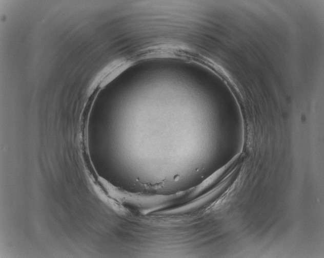 X0000065971042200603101352