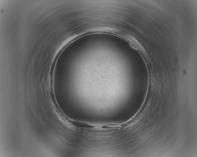 X0000065971044200603101352