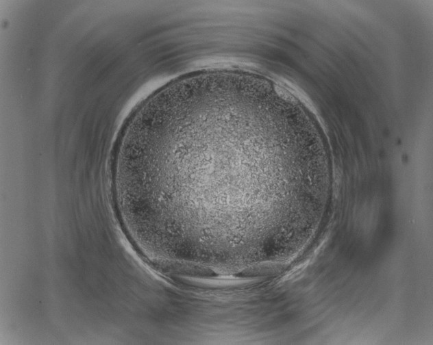 X0000065971045200603101352