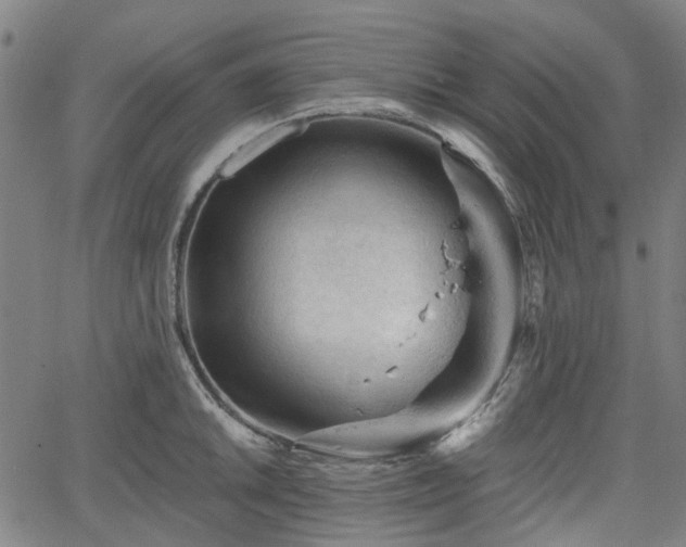 X0000065971046200603101352