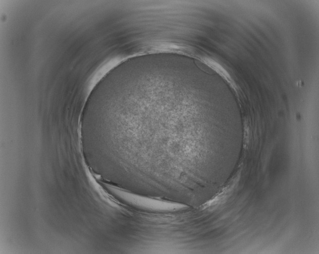 X0000065971047200603101352