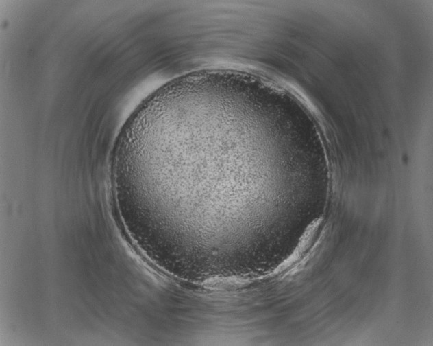 X0000065971048200603101352