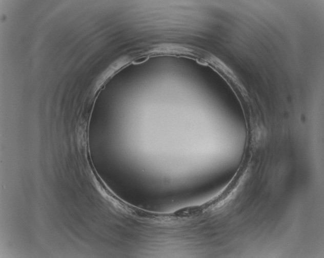 X0000065971049200603101352