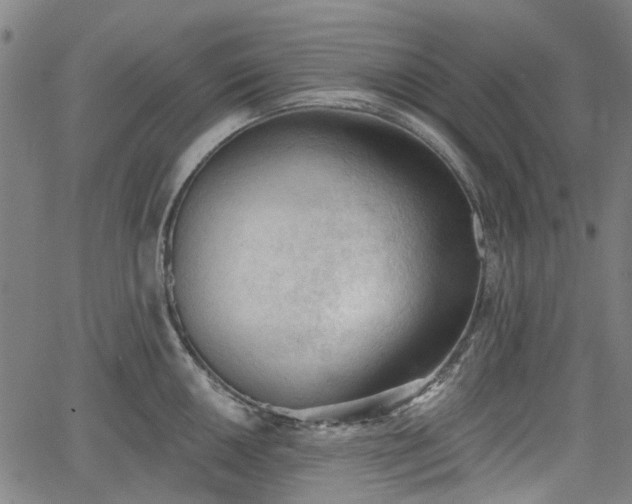 X0000065971050200603101352