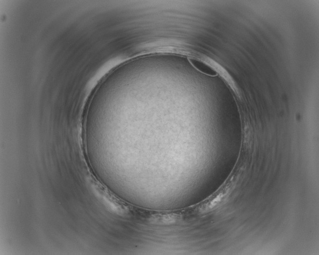 X0000065971051200603101352