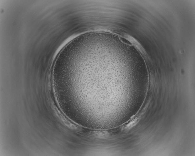 X0000065971052200603101352