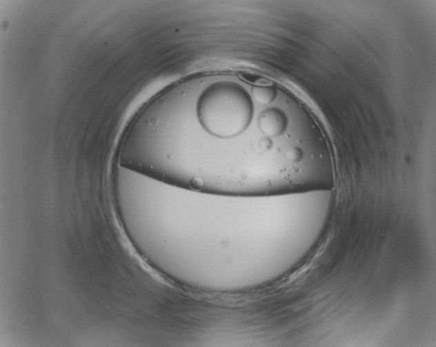 X0000065971053200603101352