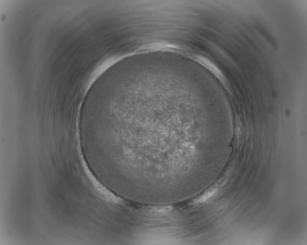 X0000065971055200603101352