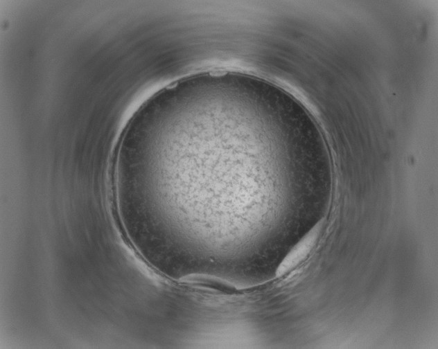 X0000065971056200603101352