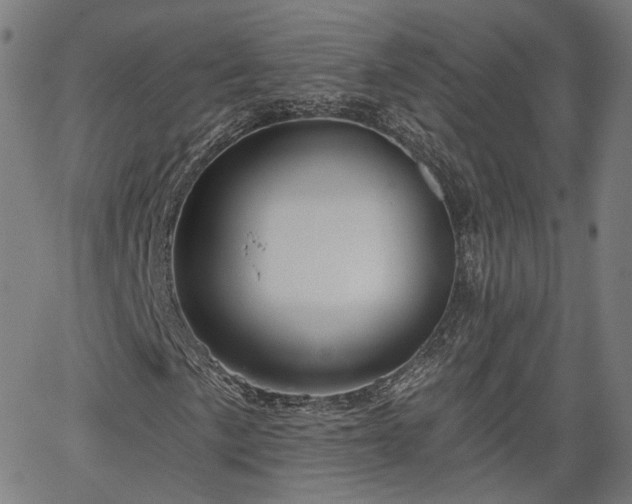 X0000065971057200603101352