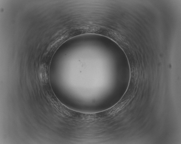 X0000065971058200603101352