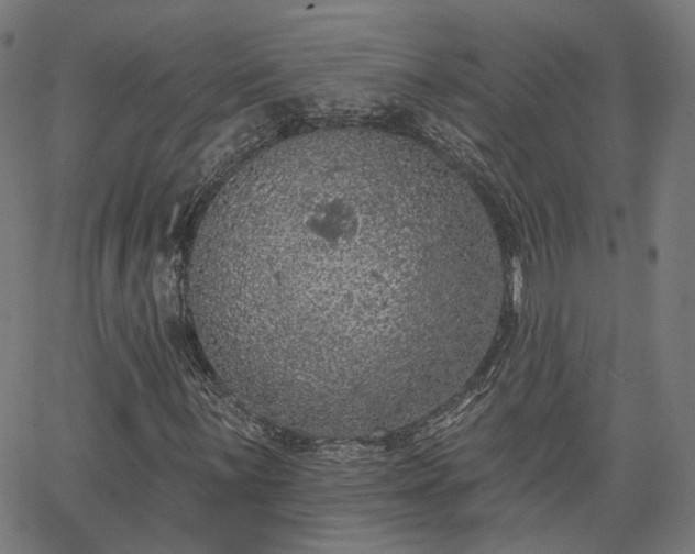 X0000065971059200603101352